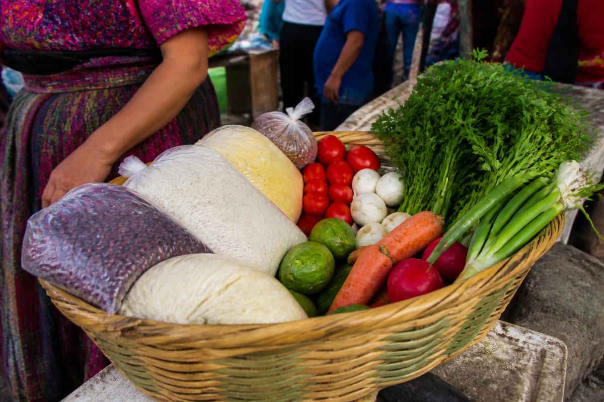 Bienes y servicios exentos de IVA en Guatemala 2026: guía para facturar con FEL